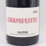 ץå 2023  750ml / SANTINI ƥ 