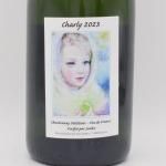 ꡼ ɥ ڥƥ ˥ե ѡ  2023 ˢ 750ml / Joubert ١