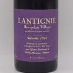 ƥ˥ 2023  750ml  / Yann Bertrand  ٥ȥ