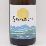 ӥ 󥵥ĥ 2022 ʾ 750ml / Cascina Lieto å ꥨ