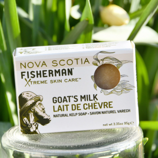 NOVA SCOTIA FISHERMAN /  [ȥߥ륯]