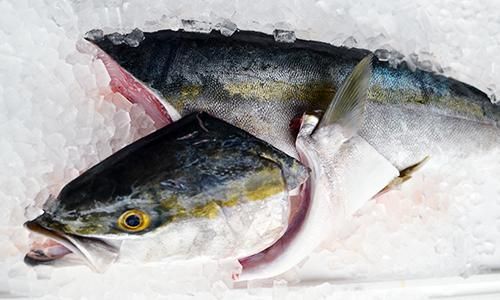 おぎはら鮮魚店
