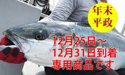 年末お届け九州の天然ヒラマサ（4kg前後）｜-魚のプロ「おぎはら