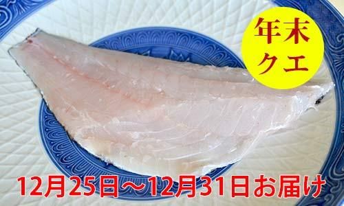 年末 九州の天然クエ アラ ブロック400g 12月25日 31日到着 魚のプロ おぎはら鮮魚店 通販ー博多で130年