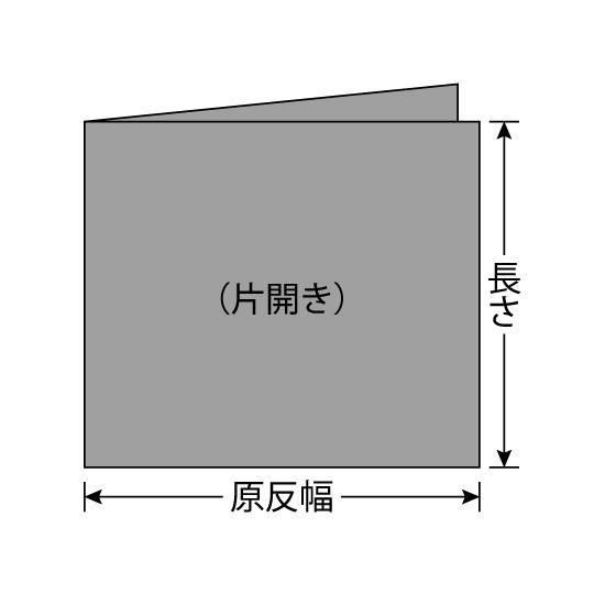 ʥ ֥롼 #60 ҳ100