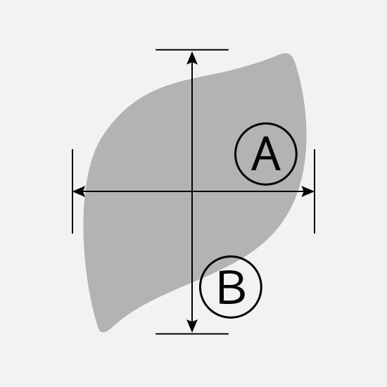 ԥå ܥʥڥ꡼դΤʤ٥ Х 250