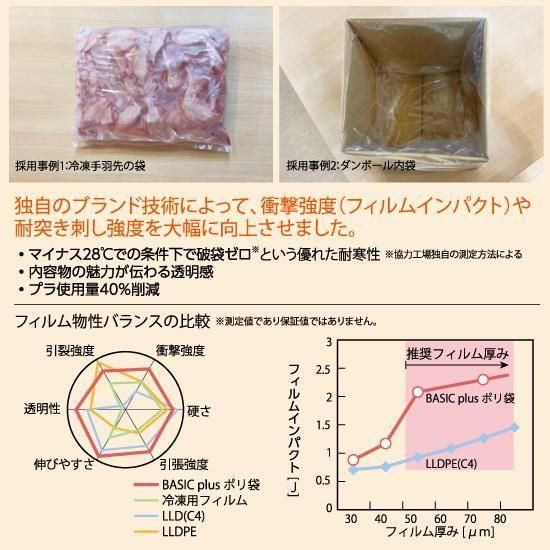 BASIC plus ݥ 20 100