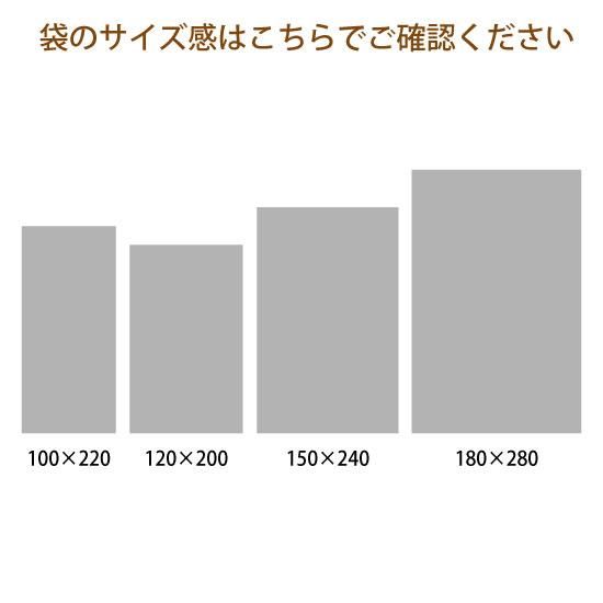  (̶) GA-2 #72 120200 5000ľʡZ-G2ʥˡۢ