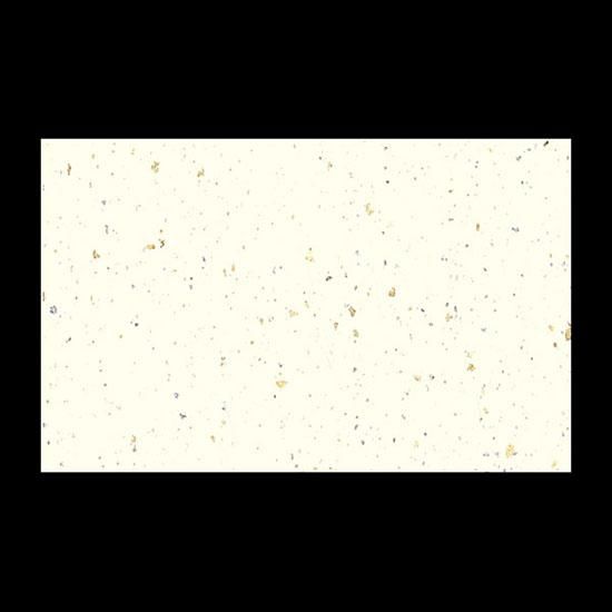 ơ֥ޥå NO.1306 ŷ Ⱦ 100