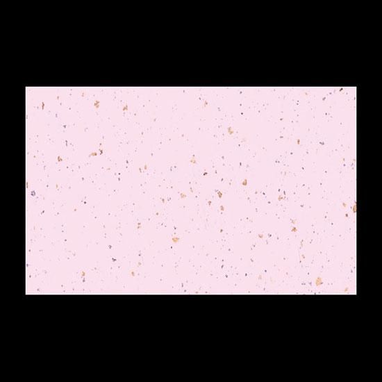 ơ֥ޥå NO.1305 ŷ  100