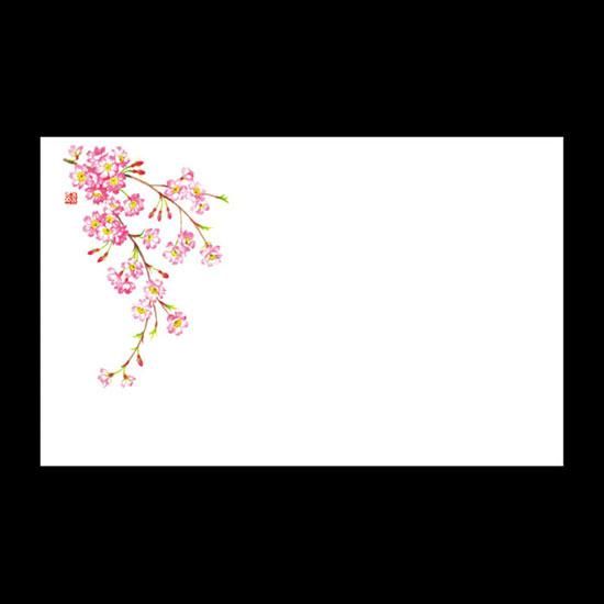 ơ֥ޥå NO.456  100