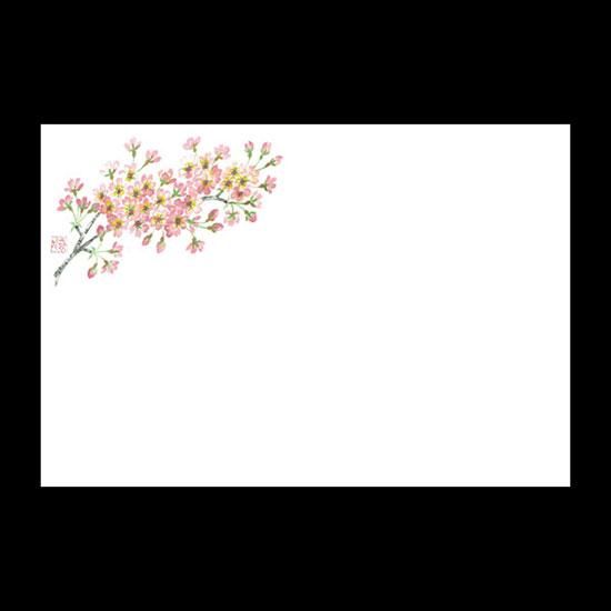 ơ֥ޥå NO.464 ᥤ襷 100