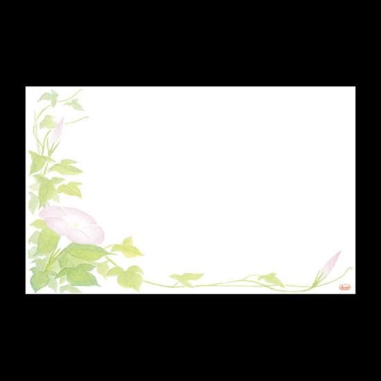 ơ֥ޥå NO.351 ī 100