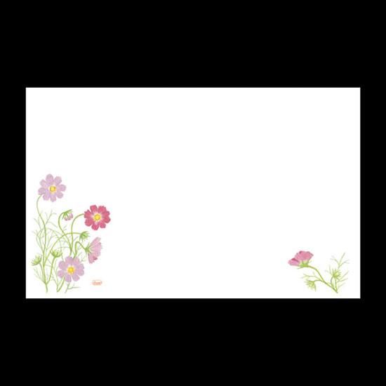 ơ֥ޥå NO.379 ⥹ 100