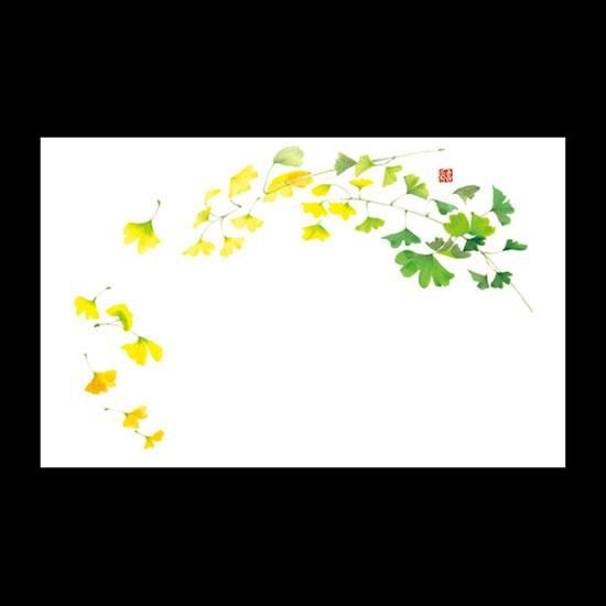 ơ֥ޥå NO.255 礦 100