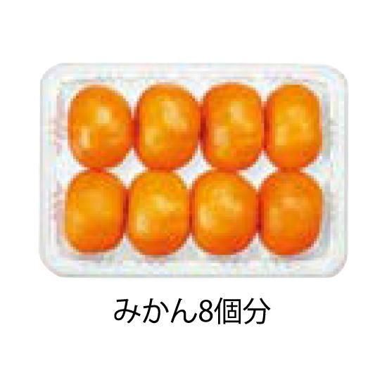 ե롼ƴ辰  ե롼 K-21 100