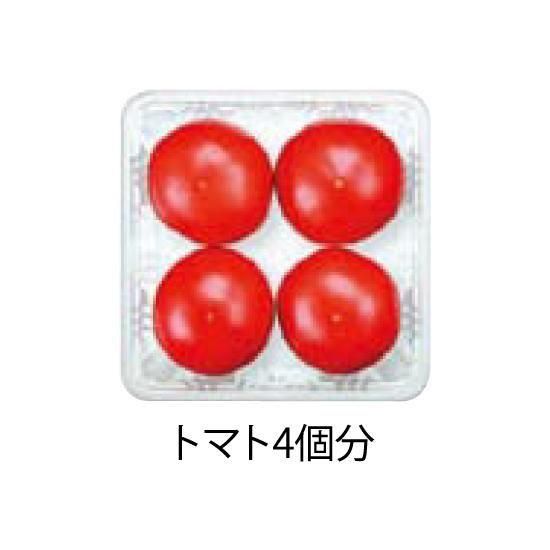 ե롼ƴ辰  ե롼 K-81 100