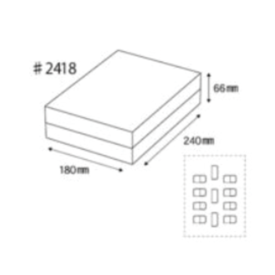 եȢ DG66 #2418 祳 100ľʡC