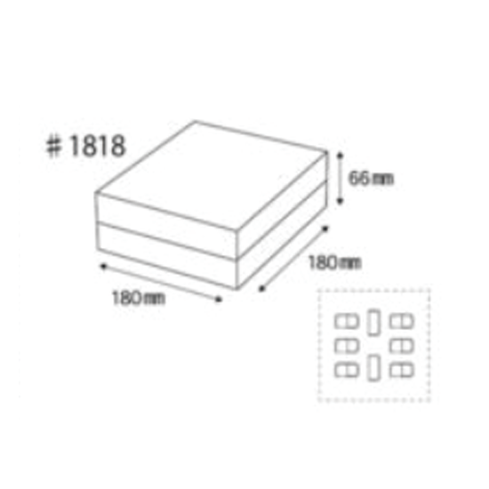 եȢ DG66 #1818 Х˥ 100ľʡC