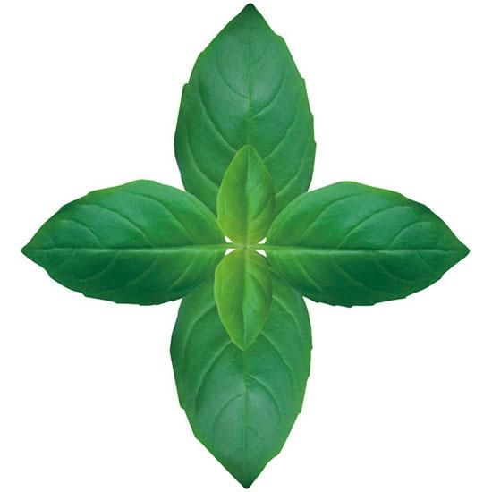 ᥷ Х  100