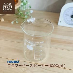 HARIO ե١ 1000mL  ӡ