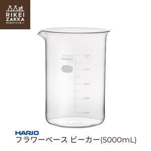 HARIO ե١ 5000mL  ӡ