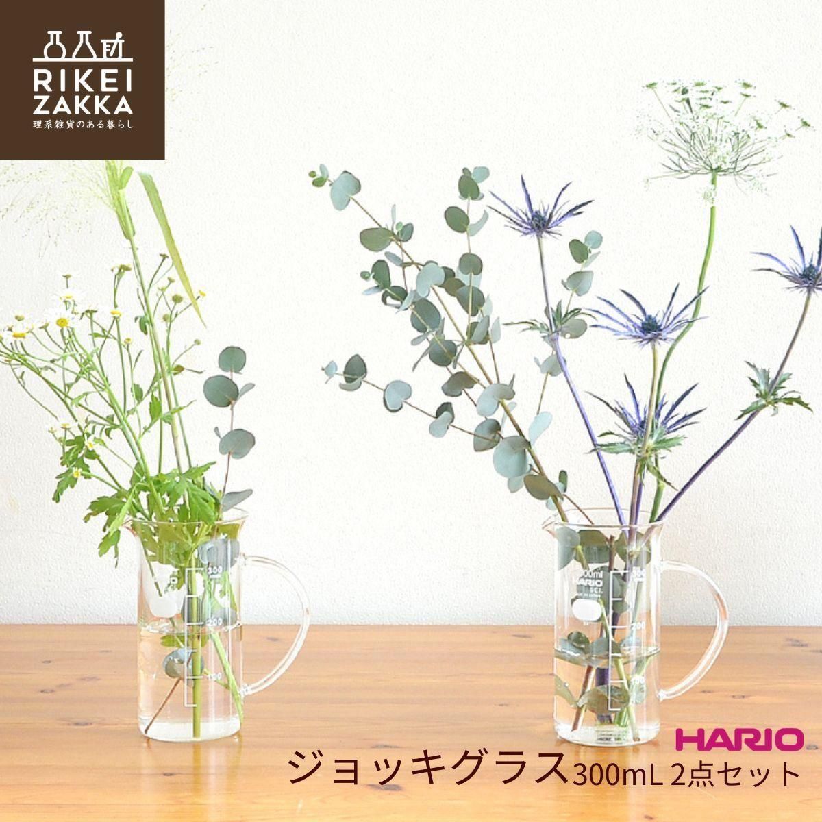 ハリオ トールビーカー 取っ手付き 300ml 2個セット Rikei Zakka 理系雑貨のある暮らし インテリア通販