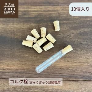 ڤ椦ѥåбۥ륯10 夦夦