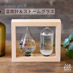 <img class='new_mark_img1' src='https://img.shop-pro.jp/img/new/icons13.gif' style='border:none;display:inline;margin:0px;padding:0px;width:auto;' />Fun Science۲ٷסȡ॰饹