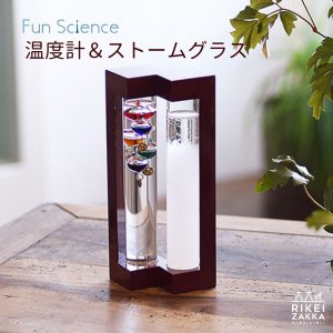 <img class='new_mark_img1' src='https://img.shop-pro.jp/img/new/icons13.gif' style='border:none;display:inline;margin:0px;padding:0px;width:auto;' />【Fun Science】温度計＆ストームグラス　フレーム(茶)