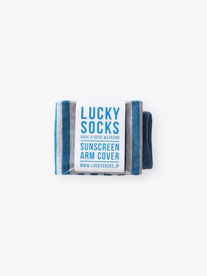 LUCKY SOCKS 󥹥꡼ܡ५С Gray  Blue