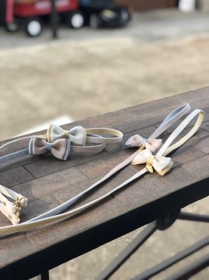 COLLAR ＆ LEASH SET - minttan(ミントタン)official online