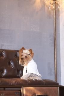 ワンピース - minttan(ミントタン)official online shopオシャレ ワンピース - minttan(ミントタン)official online shopオシャレ