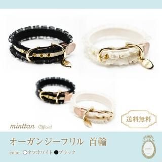 COLLAR 首輪 - minttan(ミントタン)official online shopオシャレな