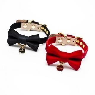 COLLAR 首輪 - minttan(ミントタン)official online shop