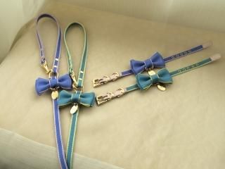 COLLAR 首輪 - minttan(ミントタン)official online shop