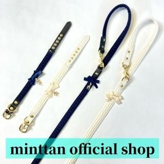 COLLAR ＆ LEASH SET - minttan(ミントタン)official online
