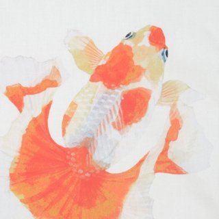 "Kingyo"-Goldfish 赤