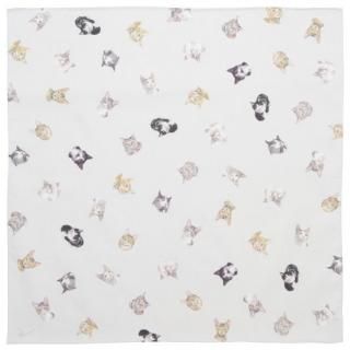 ˥󥫥  &#169;Kow Yokoyama / patterned