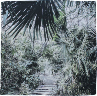 way to a pond