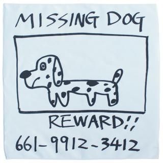 MISSING DOG / å
