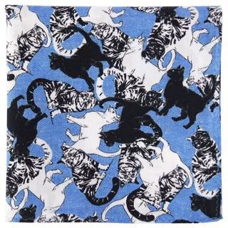 ݡ / ƥ stray cat