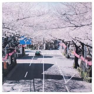 An ordinary spring day