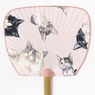 <img class='new_mark_img1' src='https://img.shop-pro.jp/img/new/icons5.gif' style='border:none;display:inline;margin:0px;padding:0px;width:auto;' /> ˥󥫥 &#169;Kow Yokoyama / all starsBIG