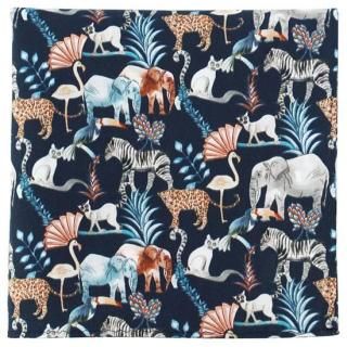 ݡ / ƥ safari night ϥ󥫥