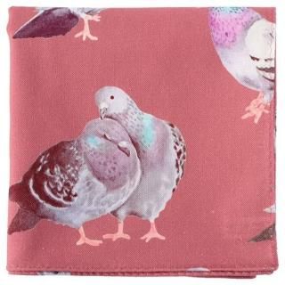 pigeon ϥ󥫥