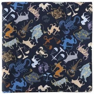 <img class='new_mark_img1' src='https://img.shop-pro.jp/img/new/icons5.gif' style='border:none;display:inline;margin:0px;padding:0px;width:auto;' />ݡ / ƥ constellations