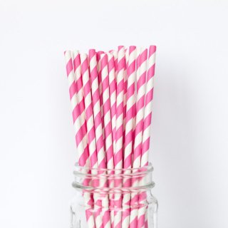 Pink Striped Straws set of 24