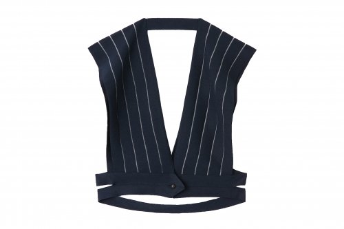 <img class='new_mark_img1' src='https://img.shop-pro.jp/img/new/icons47.gif' style='border:none;display:inline;margin:0px;padding:0px;width:auto;' />TAN / STRIPES GILET(NAVY)
