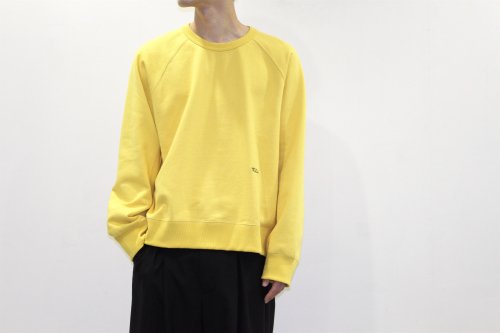 <img class='new_mark_img1' src='https://img.shop-pro.jp/img/new/icons47.gif' style='border:none;display:inline;margin:0px;padding:0px;width:auto;' />VOAAOV / BIG SWEAT - embroidery(YELLOW)